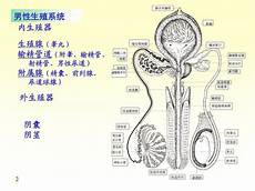 保健食品四非是什么全国范围内开展了一场打击保健食品非法生产、